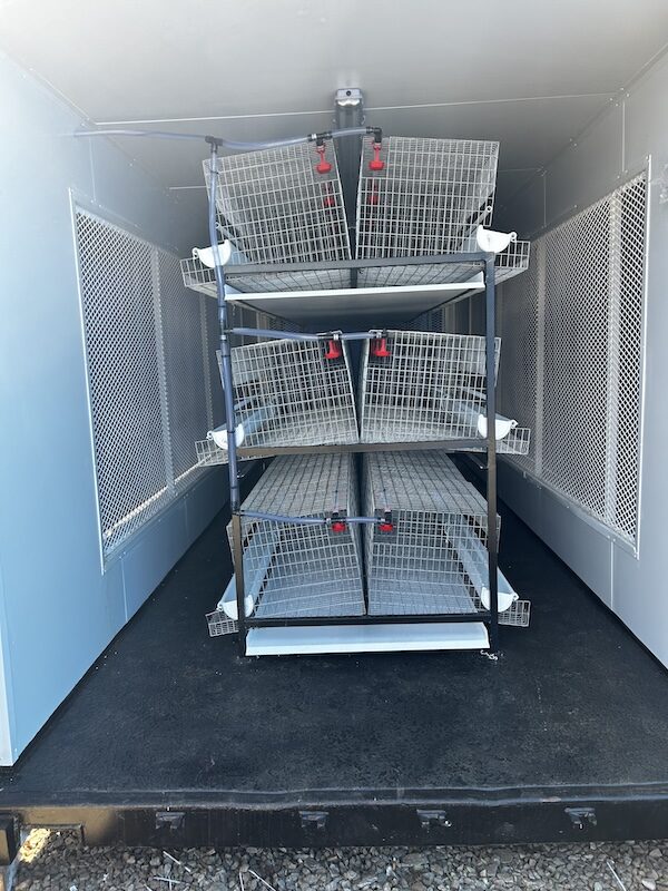 6m Egg Laying Production Container Conversion